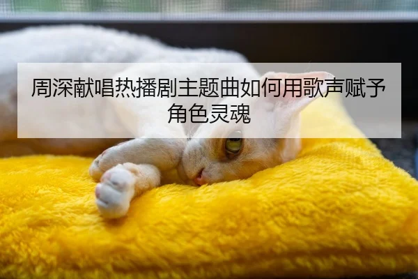 周深献唱热播剧主题曲如何用歌声赋予角色灵魂